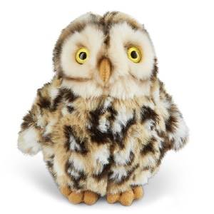 Magnet - Burrowing Owl